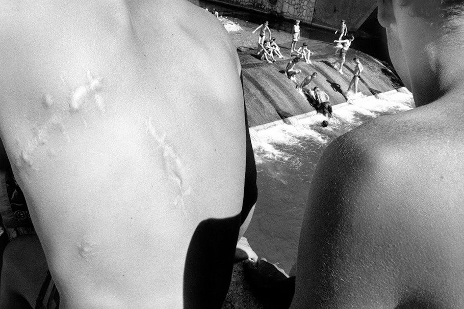 Swimmers, with a scarred back in the foreground