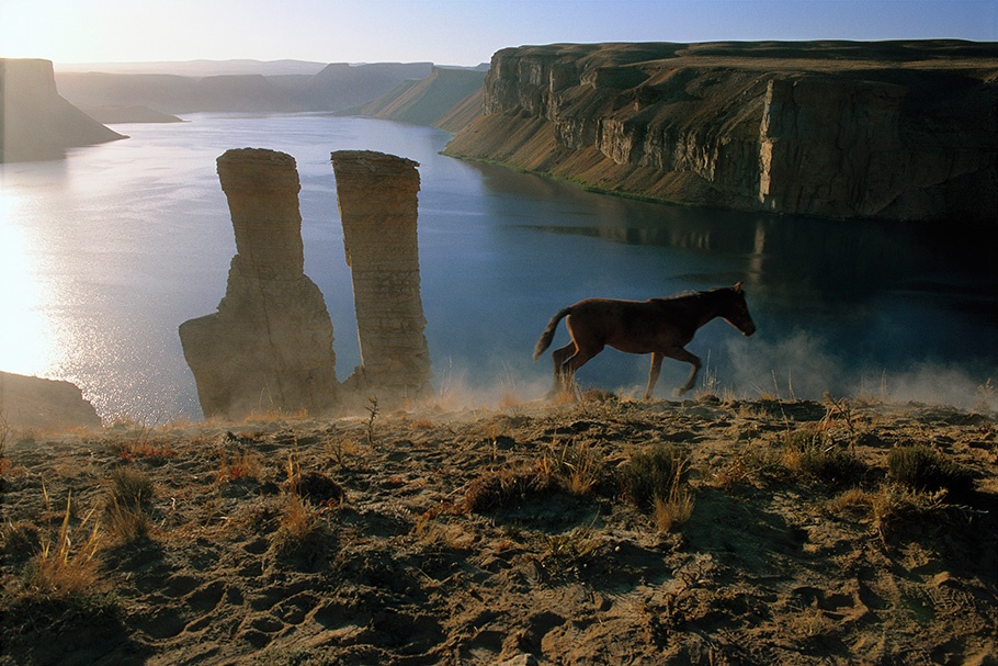 A horse in front of ruins and a lake. 