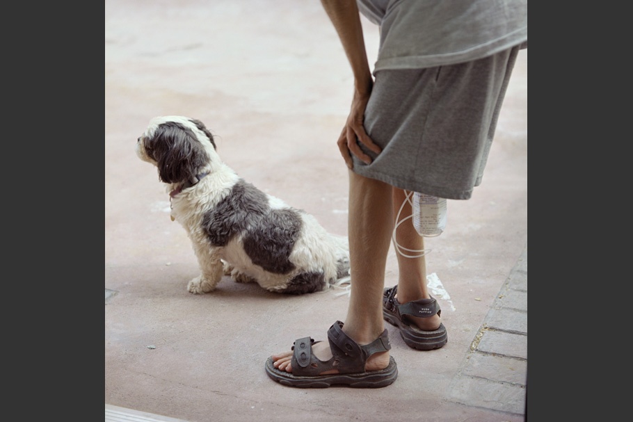 Boy’s legs with an IV and a dog.