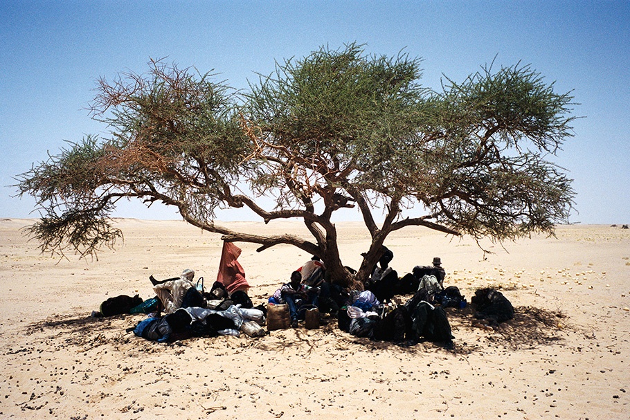 Men under a tree in the desert.