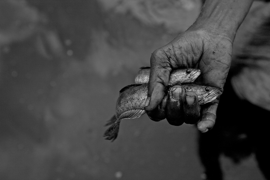 Hand with fish.