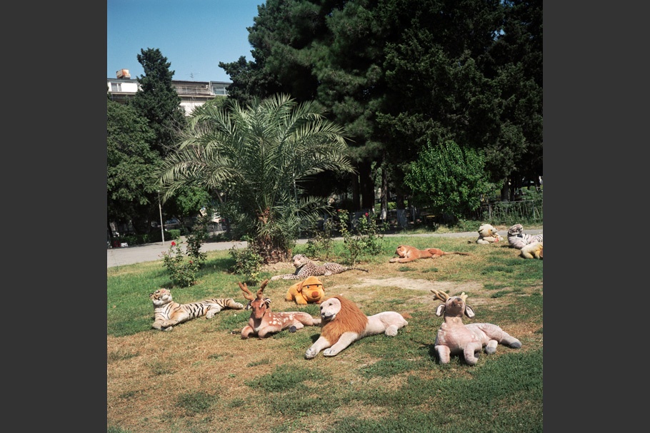Stuffed animals on grass.
