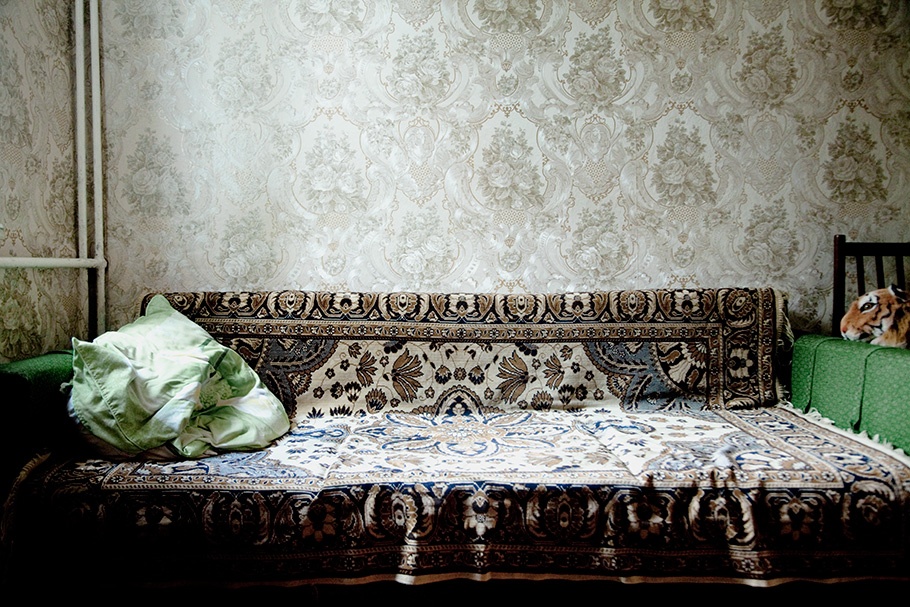 Patterned fabric and wallpaper.