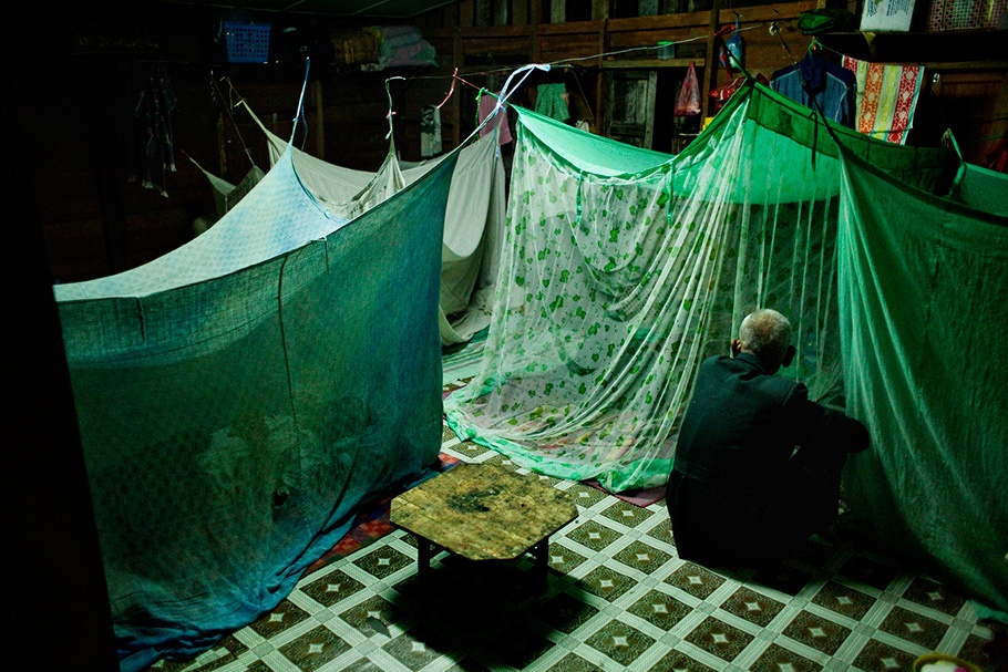 Green mosquito nets.