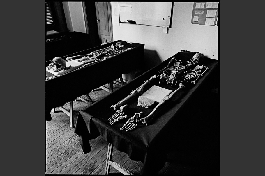 Skeletal remains on two examining tables covered in black cloth