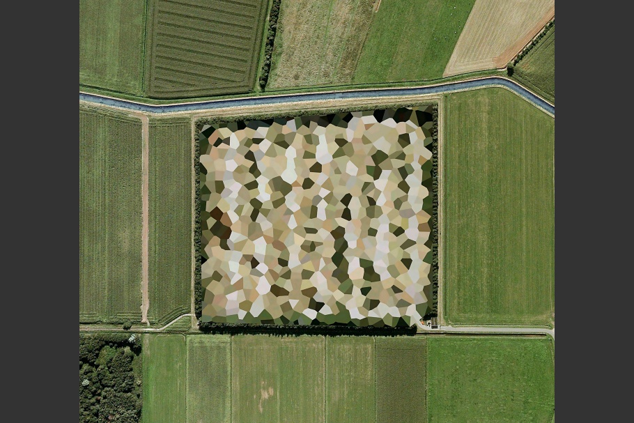Google Earth image of landscape with colored, polygon pattern in center