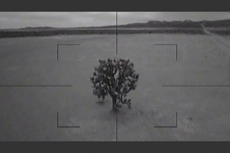Tree viewed through gunsight