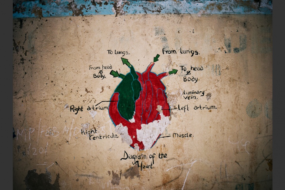 Graffiti on a wall shows a diagram of the heart