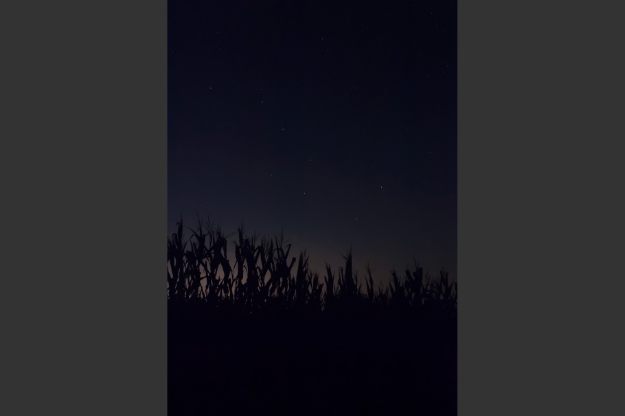 An image of the night sky over a corn field shows the Big Dipper