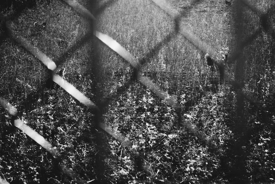 A field viewed through a chain-link fence