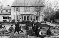 Muslim men praying on the lawn of a house. 